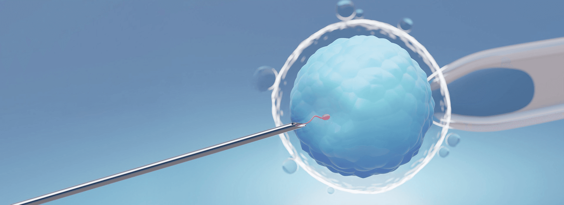 GimboMed assisted reproduction products.